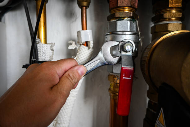 Best Clogged Drain Plumber  in Thayer, MO